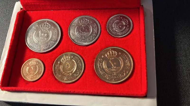 Lot #5